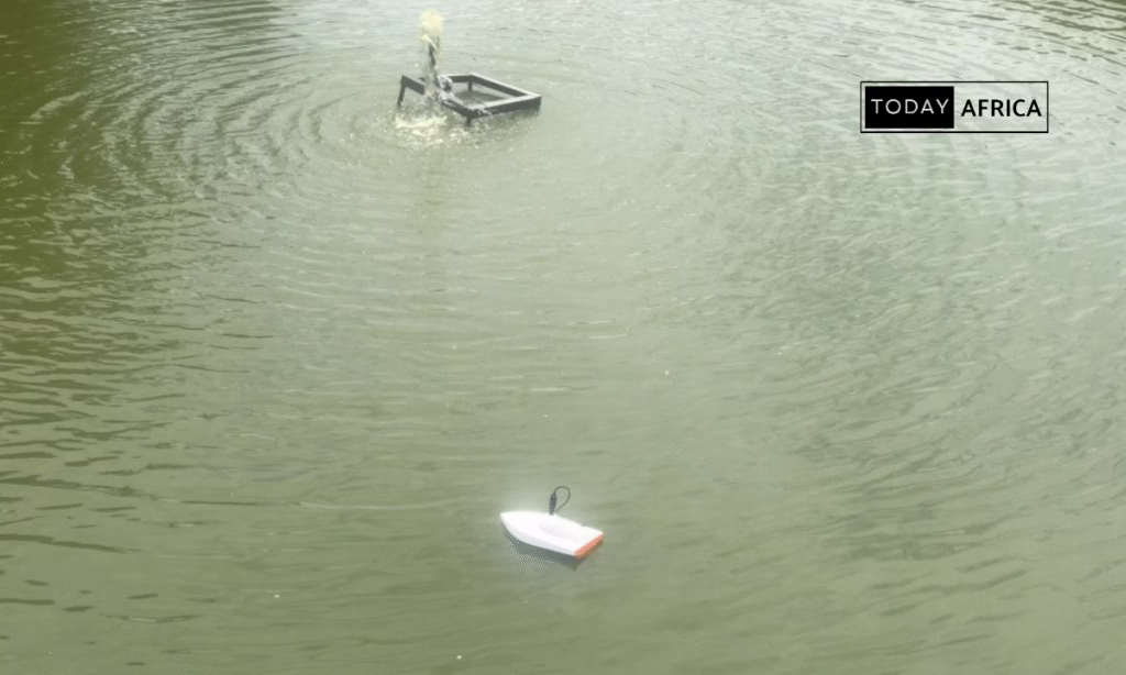 Niza Aritha Zulu: From Student Idea to Patent-holding Agritech Innovator