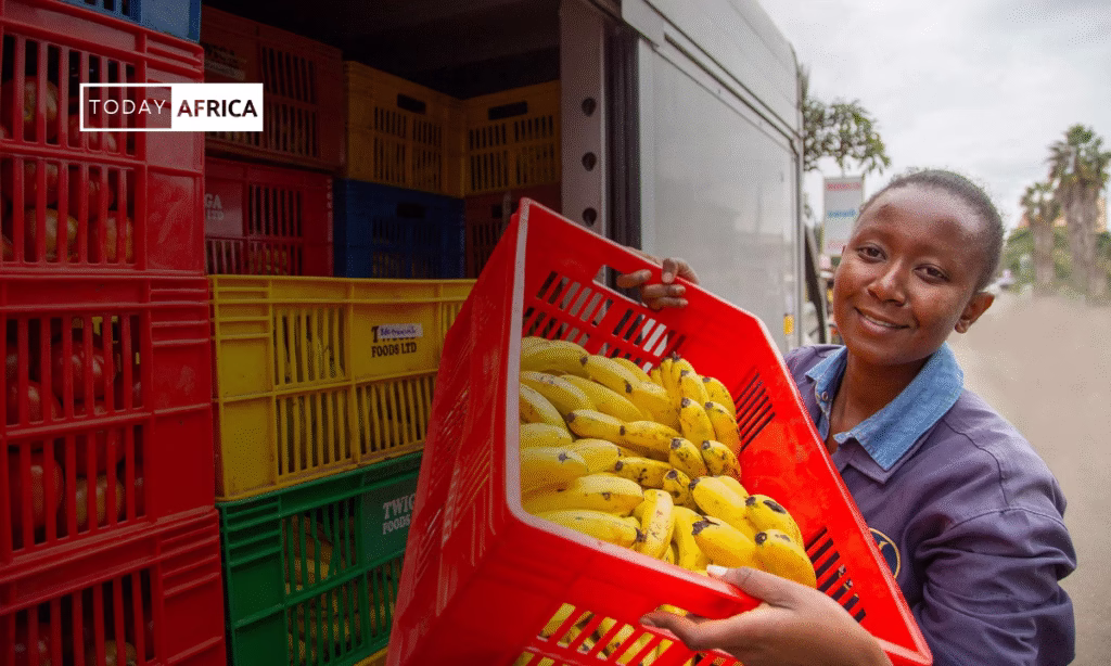 Inside Twiga Foods’ Journey: From Rural Farms to Cities