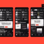 Spotify 2025 Wrapped: Tems and Burna Boy top the list