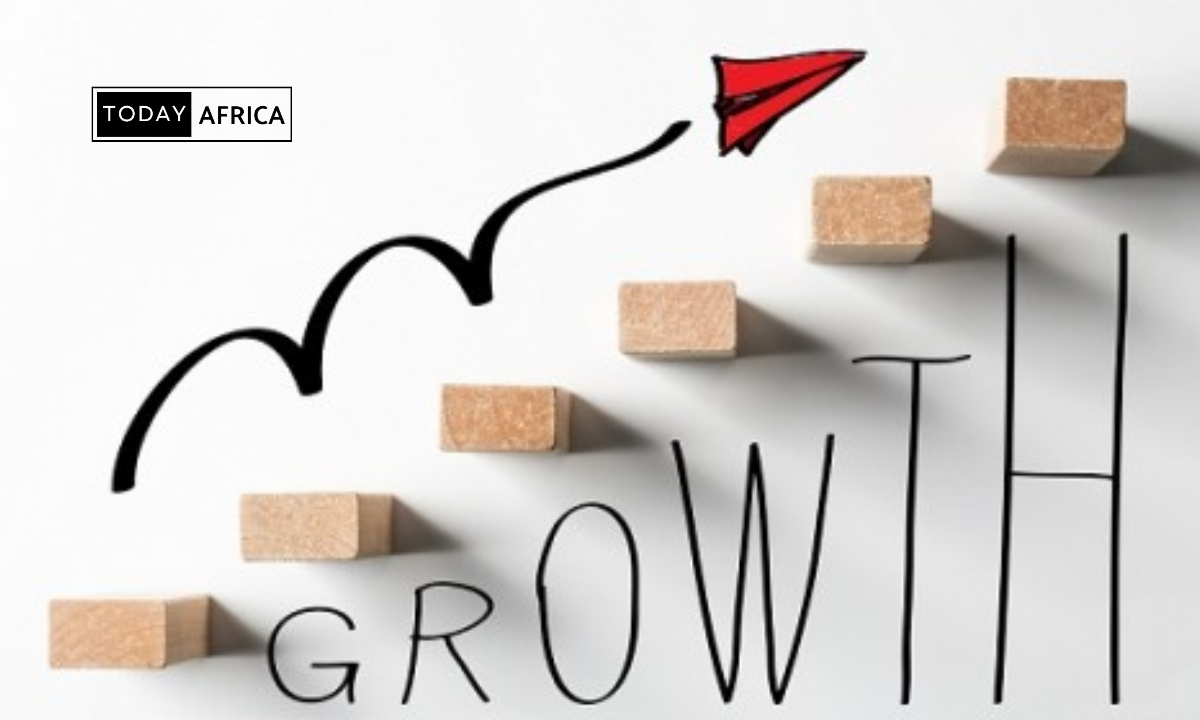 What is growth strategy in business?